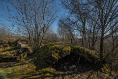 ChatelSaintGermain_006