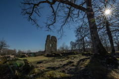 ChatelSaintGermain_010