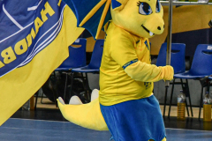 MetzHandball20240217_006