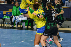 MetzHandball20240217_015