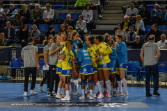 MetzHandball20240217_018