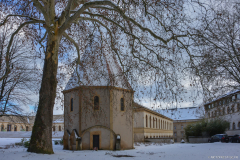MetzNeige008