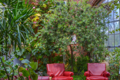 SerresJardinBotanique004