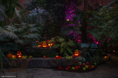 JardinBotaniqueSorcieres2022ck