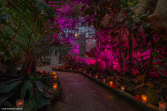JardinBotaniqueSorcieres2022d