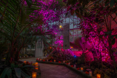 JardinBotaniqueSorcieres2022j