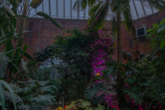 JardinBotaniqueSorcieres2022k